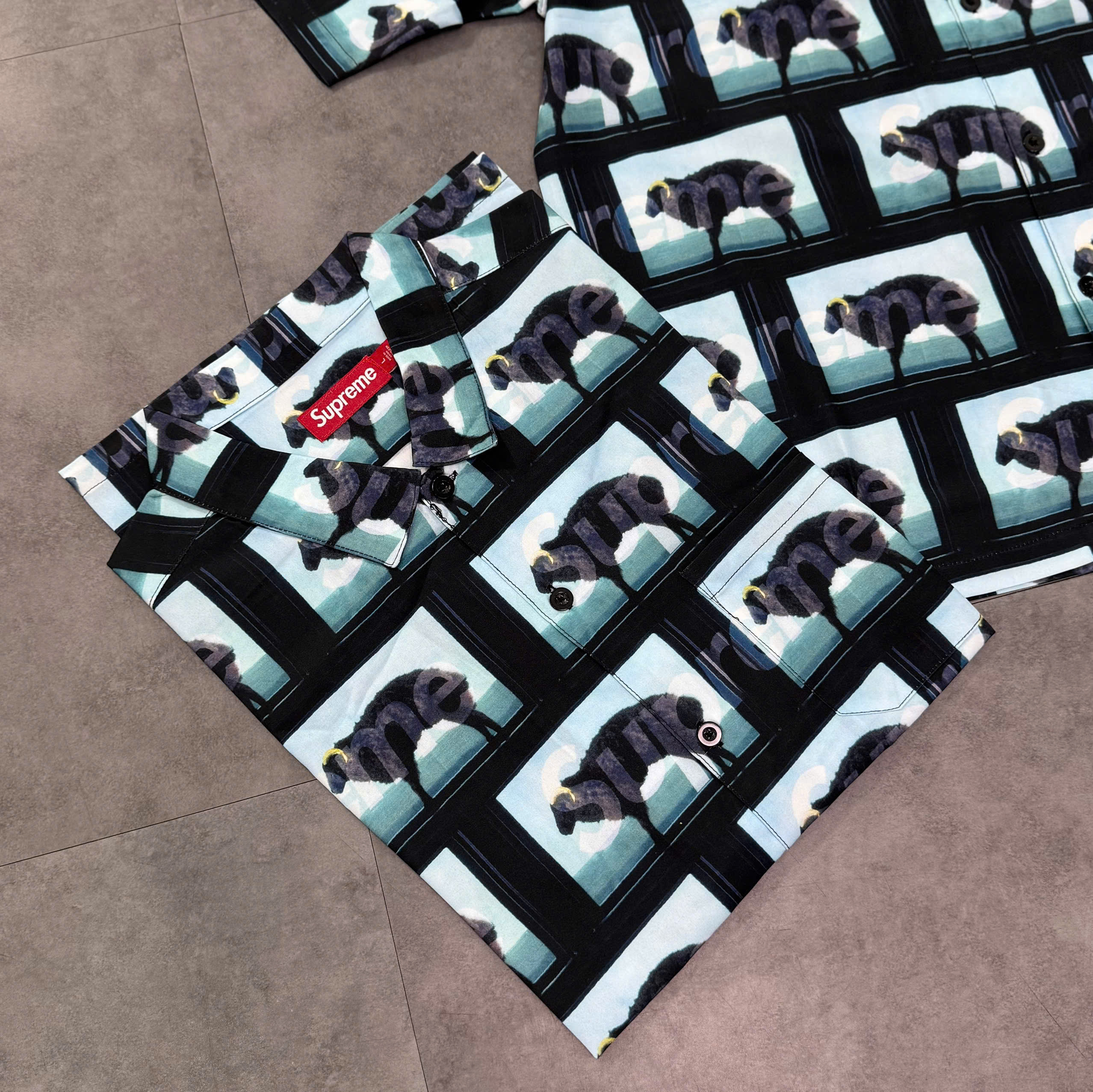 z7034865416519_cf105963f6a094bf31d4af9bfac26d5f