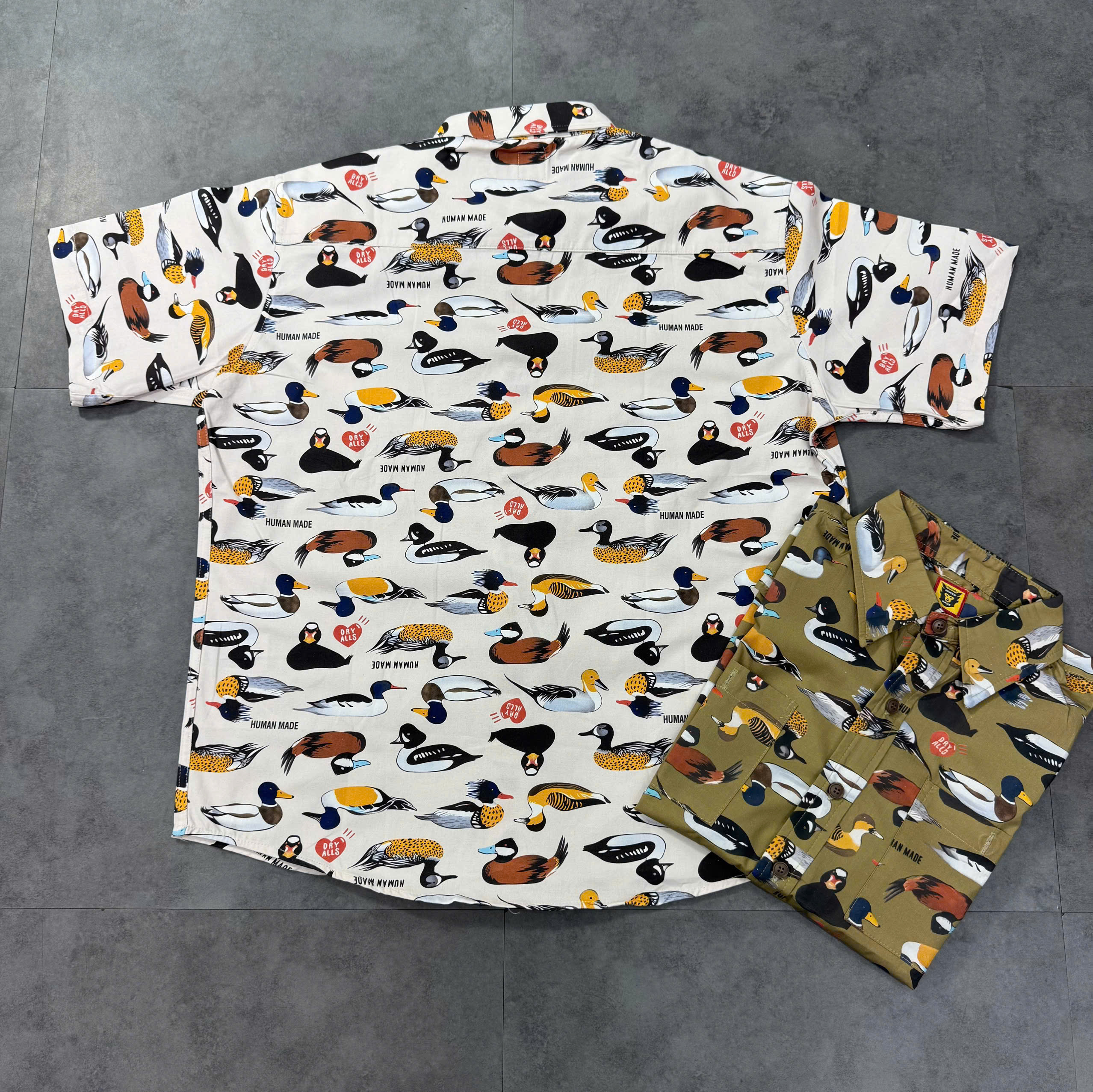 z7034893102140_687f7e90e46a6bcb4c2afefa0fdcbc01