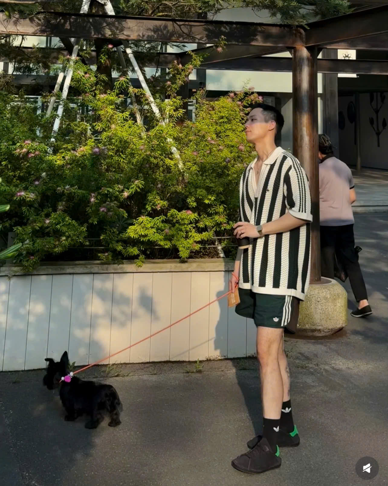 z7070552927428_556d6ee38332453189d29f07af2e642a